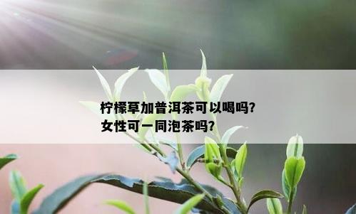 柠檬草加普洱茶可以喝吗？女性可一同泡茶吗？