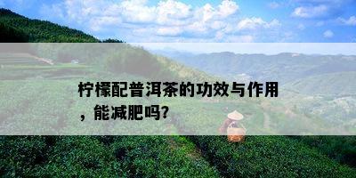 柠檬配普洱茶的功效与作用，能减肥吗？