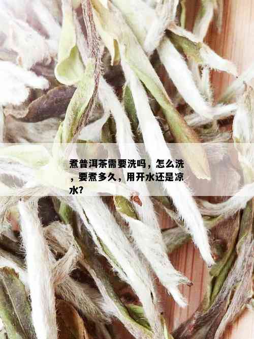 煮普洱茶需要洗吗，怎么洗，要煮多久，用开水还是凉水？