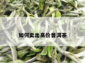 如何卖出高价普洱茶