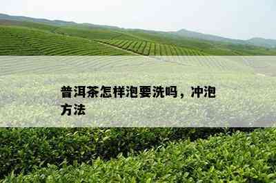 普洱茶怎样泡要洗吗，冲泡方法