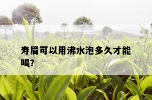 寿眉可以用沸水泡多久才能喝？