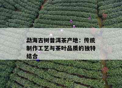 勐海古树普洱茶产地：传统制作工艺与茶叶品质的独特结合