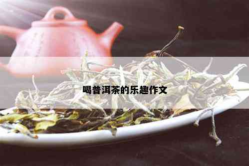 喝普洱茶的乐趣作文