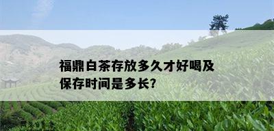 福鼎白茶存放多久才好喝及保存时间是多长？