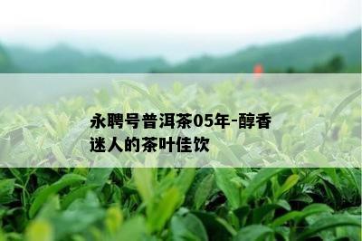 永聘号普洱茶05年-醇香迷人的茶叶佳饮