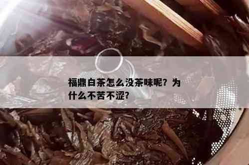 福鼎白茶怎么没茶味呢？为什么不苦不涩？