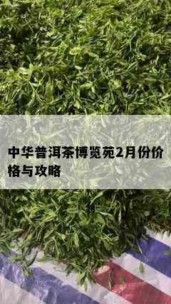 中华普洱茶博览苑2月份价格与攻略