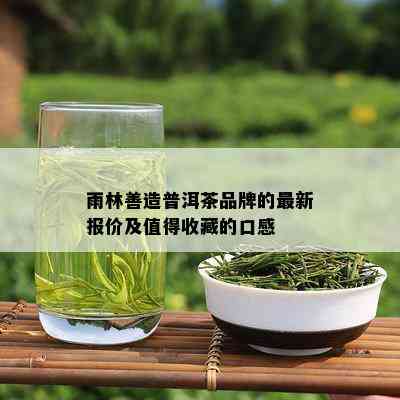 雨林善造普洱茶品牌的最新报价及值得收藏的口感