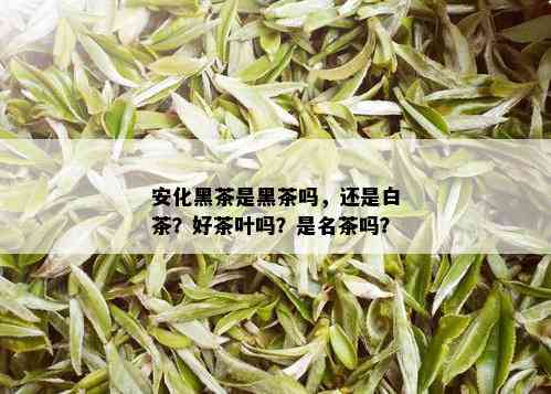 安化黑茶是黑茶吗，还是白茶？好茶叶吗？是名茶吗？