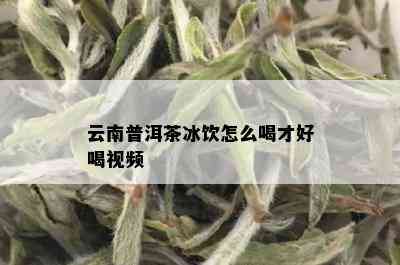 云南普洱茶冰饮怎么喝才好喝视频