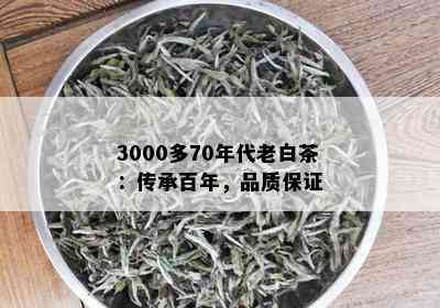 3000多70年代老白茶：传承百年，品质保证