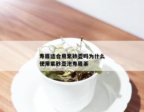 寿眉适合用紫砂壶吗为什么使用紫砂壶泡寿眉茶