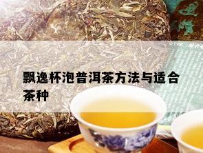 飘逸杯泡普洱茶方法与适合茶种