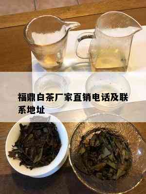 福鼎白茶厂家直销电话及联系地址