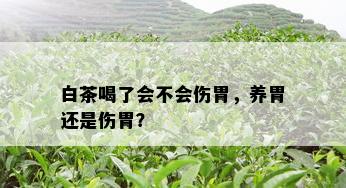 白茶喝了会不会伤胃，养胃还是伤胃？