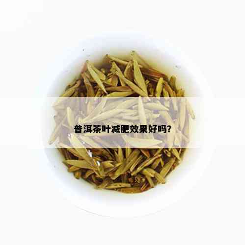 普洱茶叶减肥效果好吗？