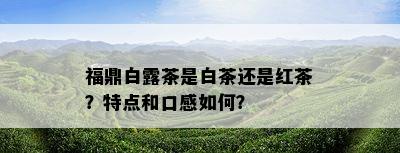 福鼎白露茶是白茶还是红茶？特点和口感如何？