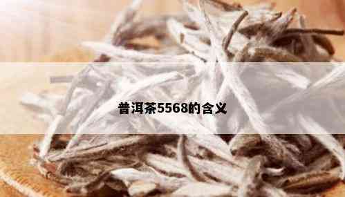 普洱茶5568的含义