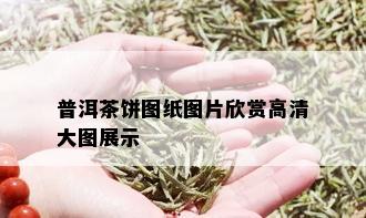 普洱茶饼图纸图片欣赏高清大图展示