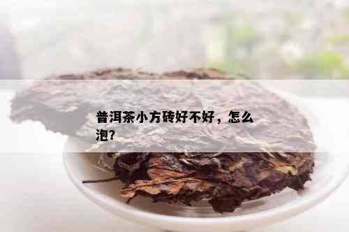 普洱茶小方砖好不好，怎么泡？