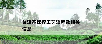 普洱茶揉捏工艺流程及相关信息