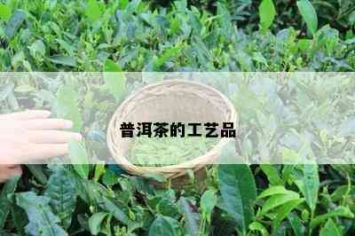 普洱茶的工艺品