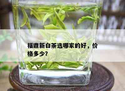 福鼎新白茶选哪家的好，价格多少？