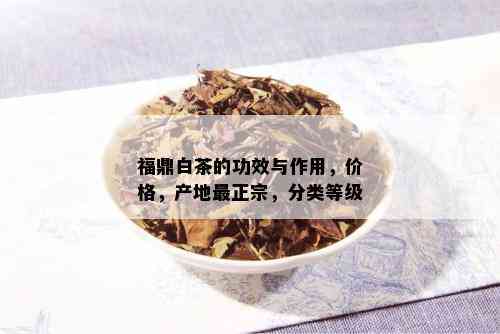 福鼎白茶的功效与作用，价格，产地最正宗，分类等级