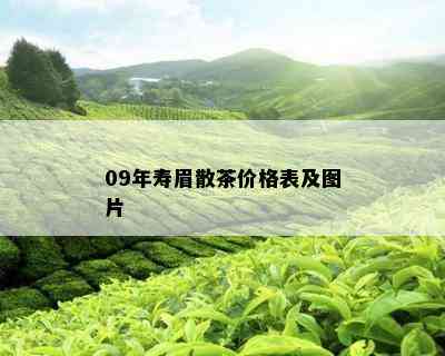 09年寿眉散茶价格表及图片