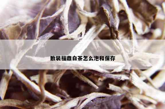 散装福鼎白茶怎么泡和保存