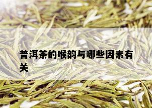 普洱茶的喉韵与哪些因素有关