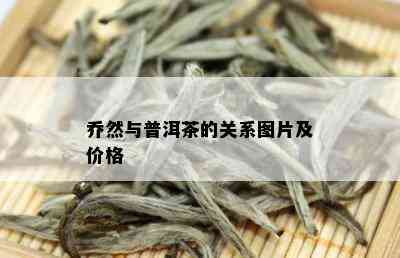 乔然与普洱茶的关系图片及价格