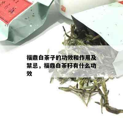 福鼎白茶子的功效和作用及禁忌，福鼎白茶籽有什么功效