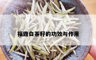 福鼎白茶籽的功效与作用