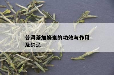 普洱茶加蜂蜜的功效与作用及禁忌