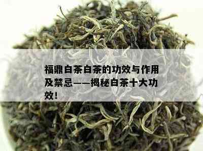 福鼎白茶白茶的功效与作用及禁忌——揭秘白茶十大功效！