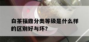 白茶福鼎分类等级是什么样的区别好与坏?