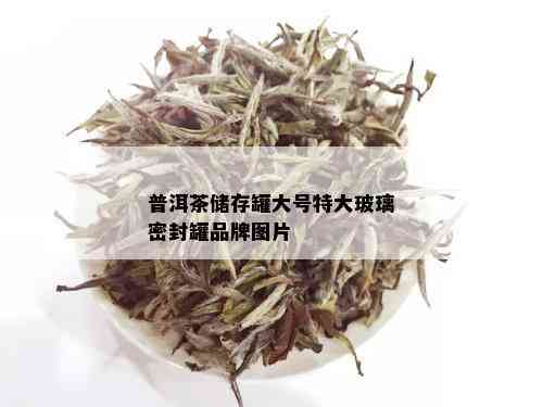 普洱茶储存罐大号特大玻璃密封罐品牌图片