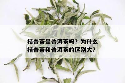 桔普茶是普洱茶吗？为什么桔普茶和普洱茶的区别大？