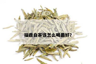 福鼎白茶该怎么喝更好？