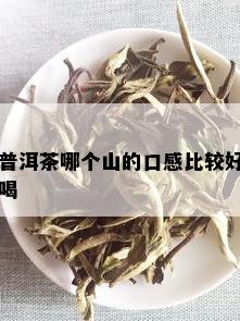 普洱茶哪个山的口感比较好喝