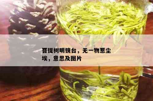 菩提树明镜台，无一物惹尘埃，意思及图片