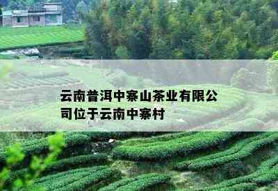 云南普洱中寨山茶业有限公司位于云南中寨村