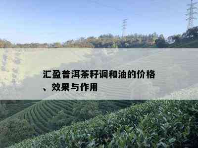 汇盈普洱茶籽调和油的价格、效果与作用