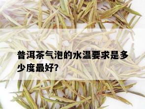 普洱茶气泡的水温要求是多少度更好？