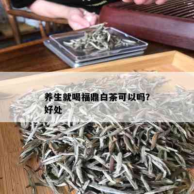 养生就喝福鼎白茶可以吗？好处