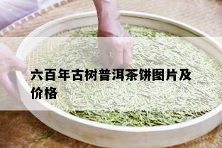 六百年古树普洱茶饼图片及价格