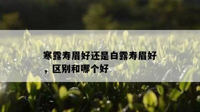 寒露寿眉好还是白露寿眉好，区别和哪个好