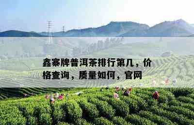 鑫寨牌普洱茶排行第几，价格查询，质量如何，官网